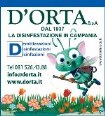 D'Orta 